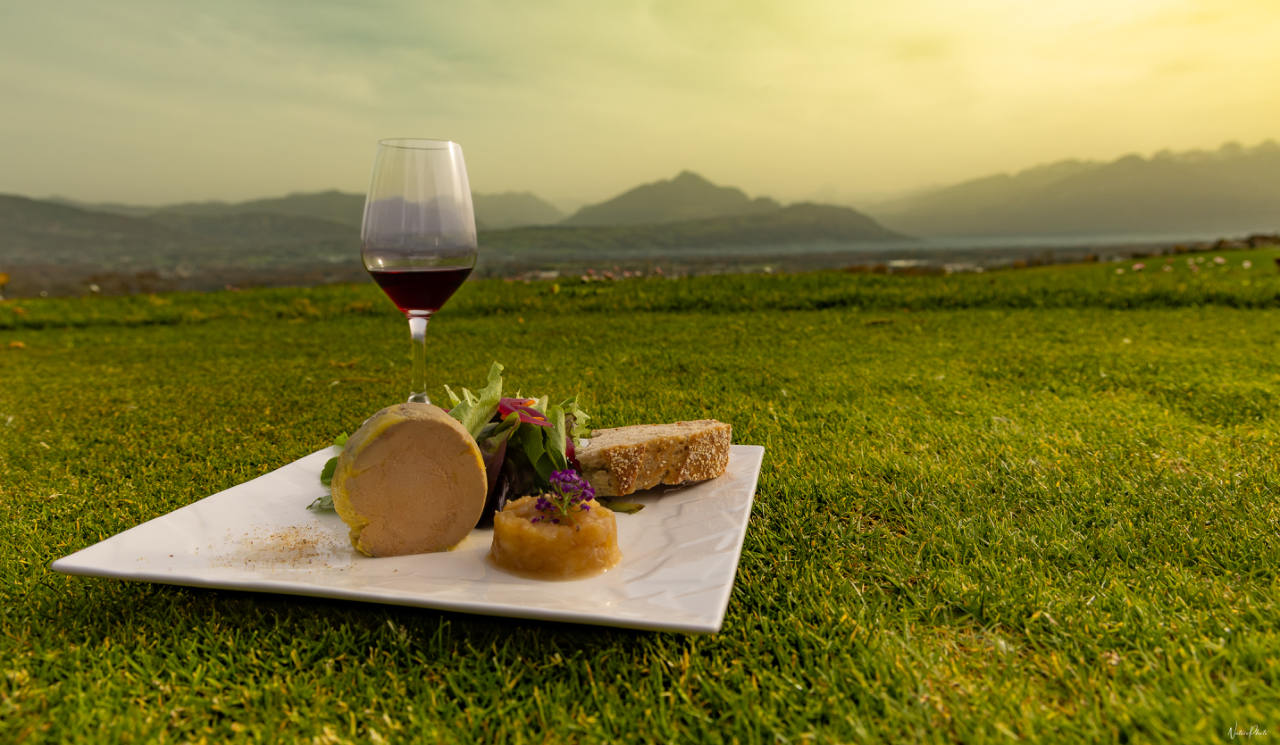 Assiette de foie gras et verre de vin rouge posés dans l’herbe, montagnes au fond