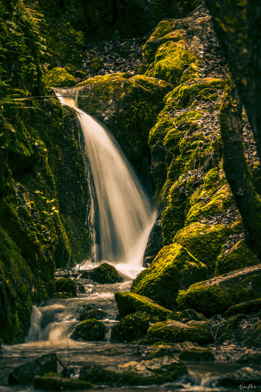 Cascade qui coule entre des rochers couverts de mousse