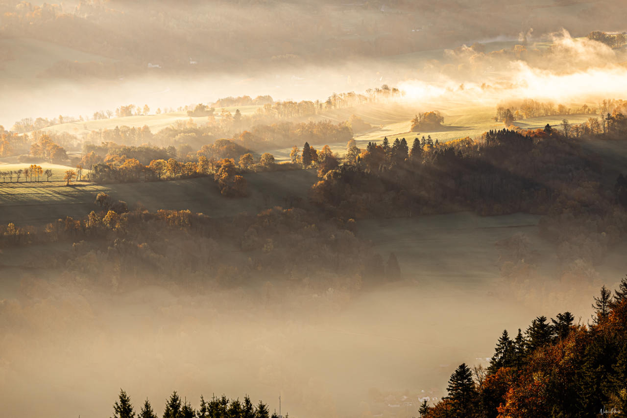 Collines et forêts noyées dans la brume dorée du matin