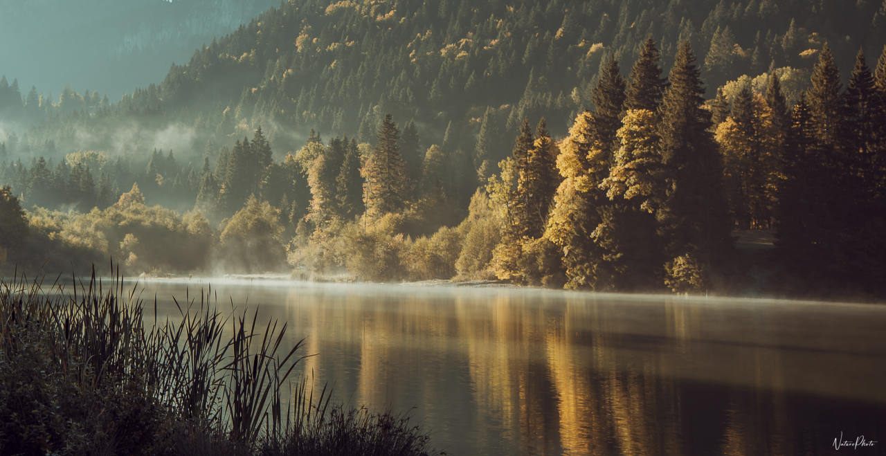 Lac entouré de forêts d’automne, brume sur l’eau