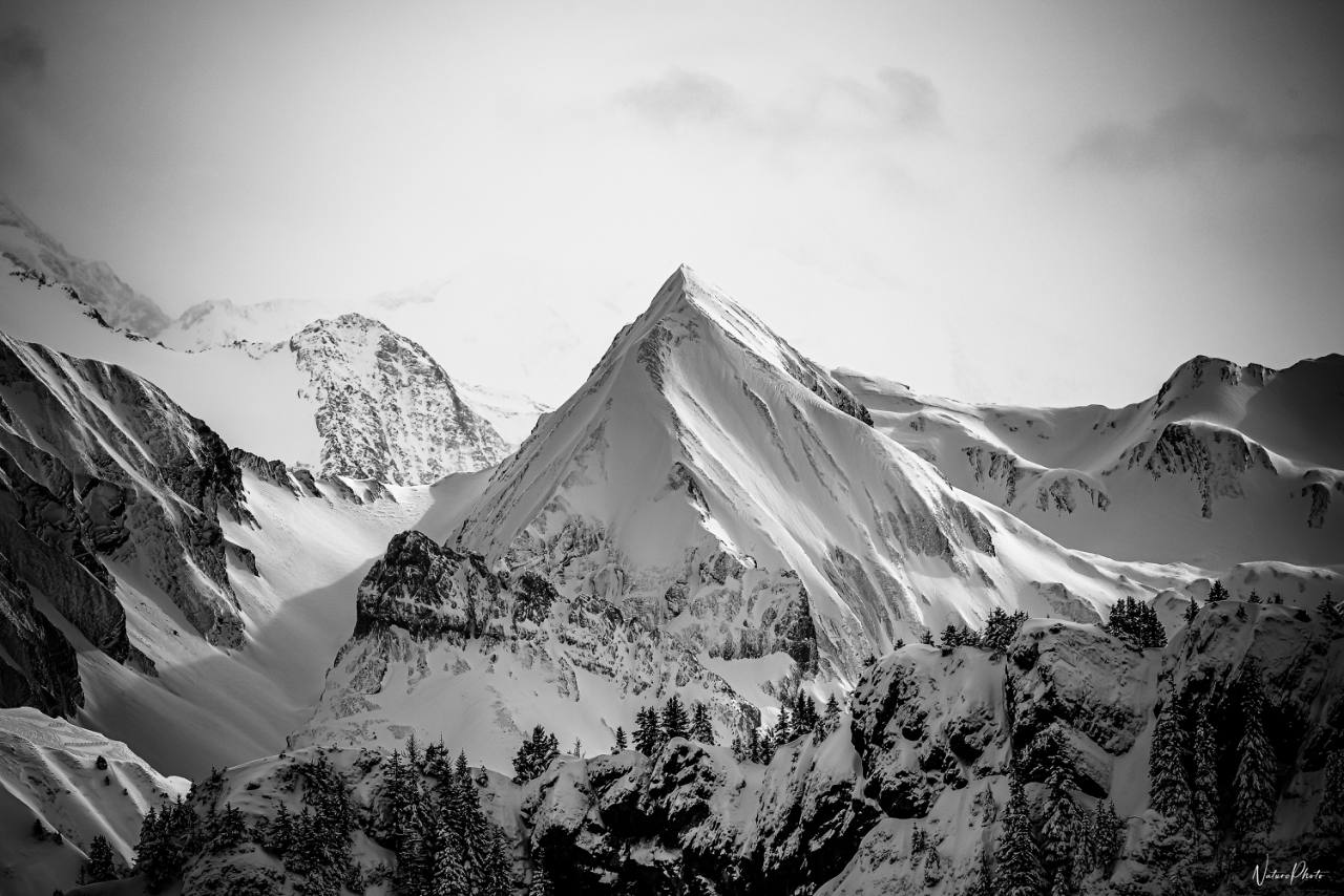 Sommet enneigé et crêtes, en noir et blanc